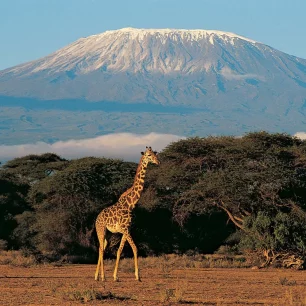 Mount Kilimanjaro