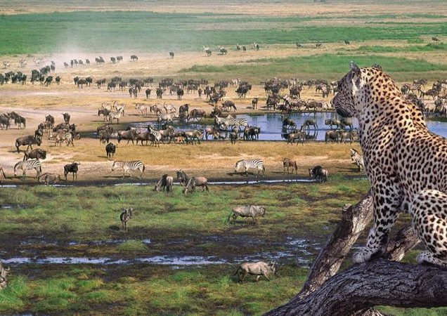 Ngorongoro Conservation Area