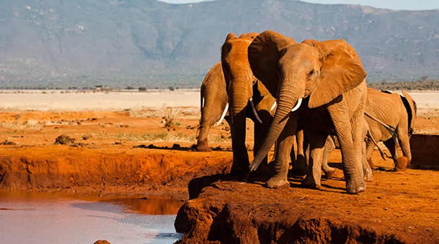 Tsavo-East-National-Park