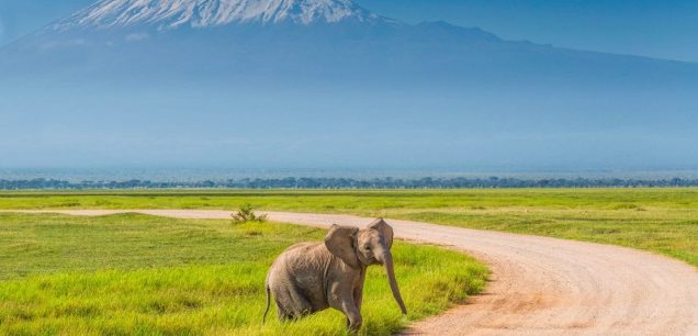 Amboseli National Park