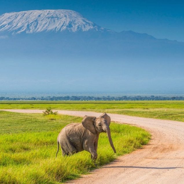 Amboseli National Park