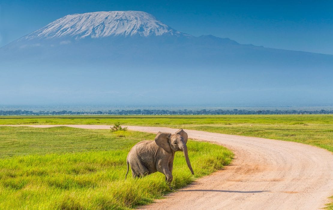 amboseli-national-park-1110×700