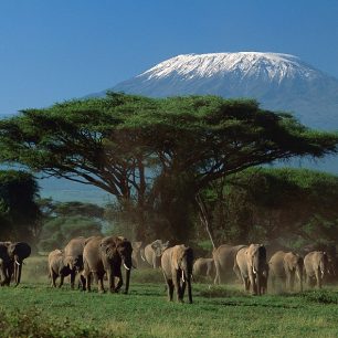 Arusha National Park