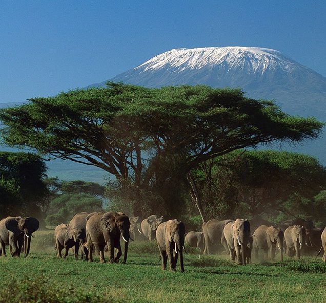 Arusha National Park