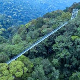 Nyungwe National Park