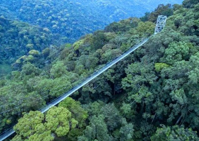 Nyungwe National Park