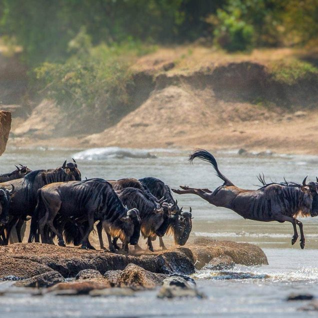 Serengeti National Park