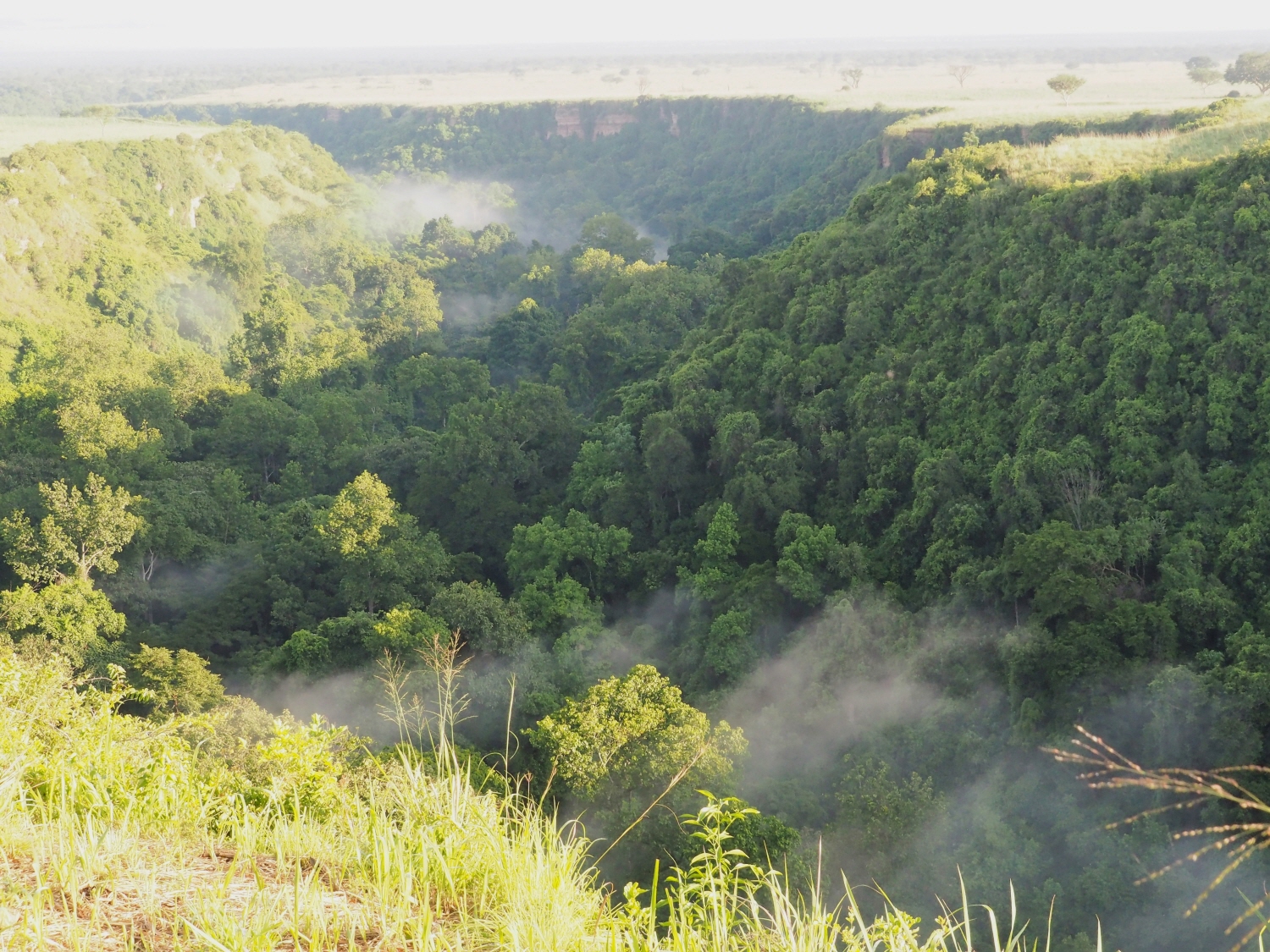 Kyambura Gorge g