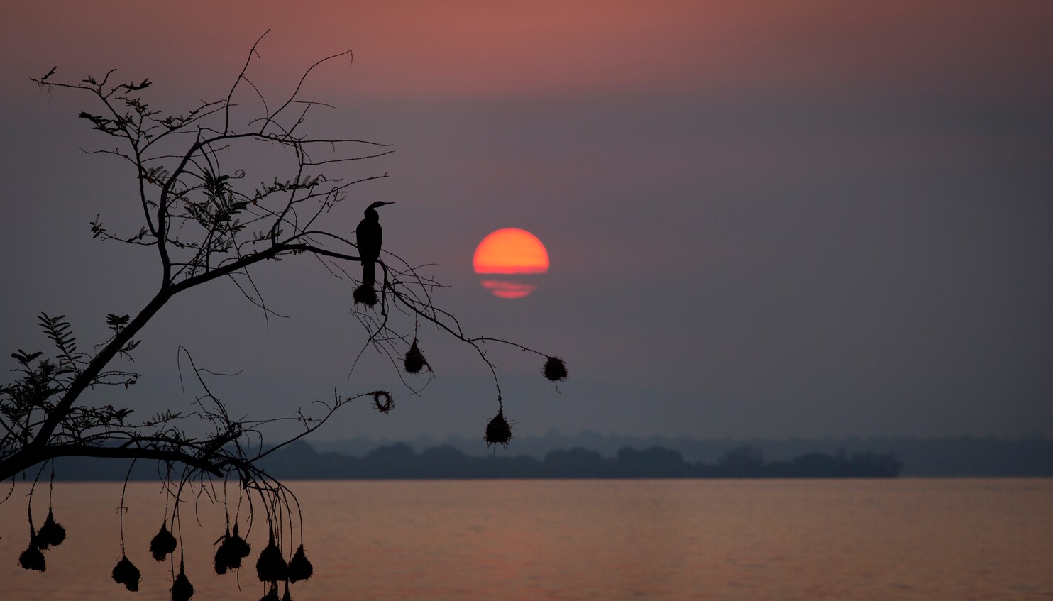 Lake Ihema