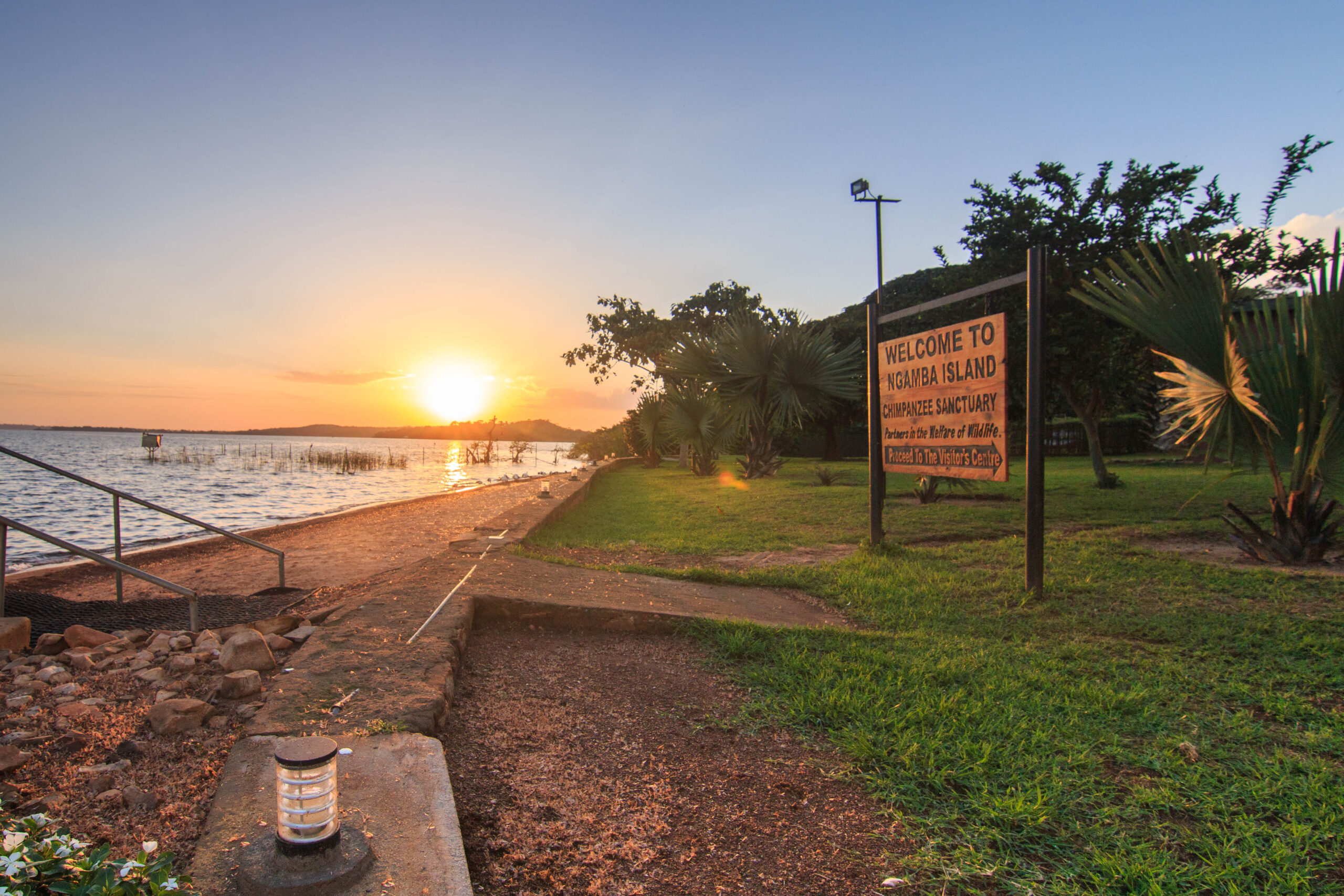 NGAMBA ISLAND CHIMPANZEE SANCTUARY y