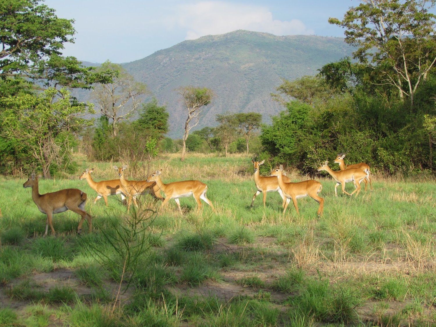 Toro – Semuliki reserve