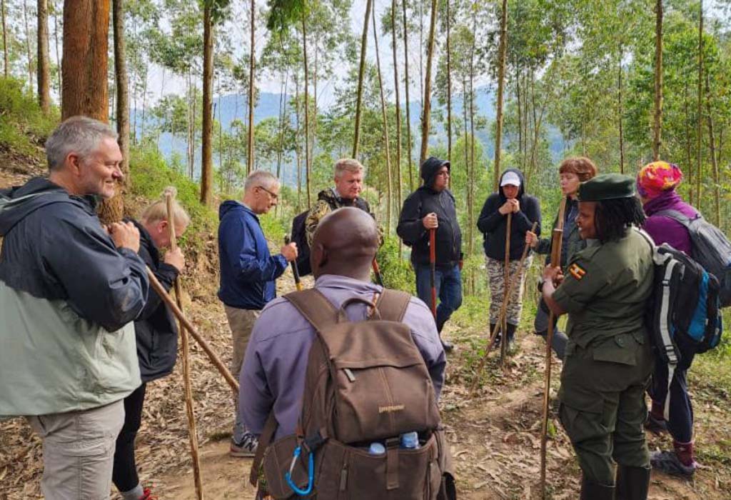 Group Safaris in Rwanda