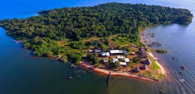 NGAMBA ISLAND CHIMPANZEE SANCTUARY