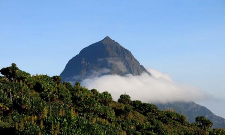 10-Day Rwanda Mountain Explorer & Cultural Safari