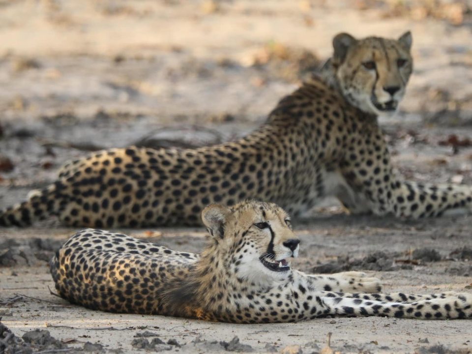 12-day Zambia & Malawi Adventure