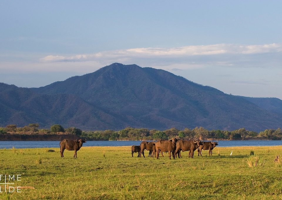 Lower Zambezi National Park