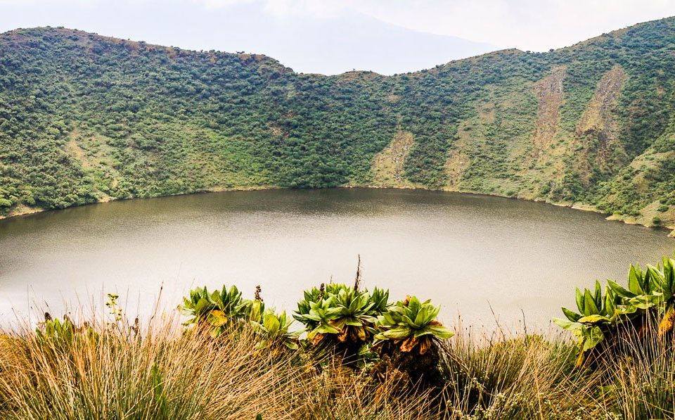 8-Days Rwanda Volcanoes Expedition