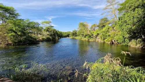 Tsavo West National Park