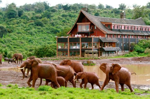 Aberdare National Park