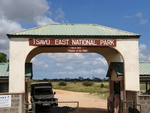 Tsavo East National Park