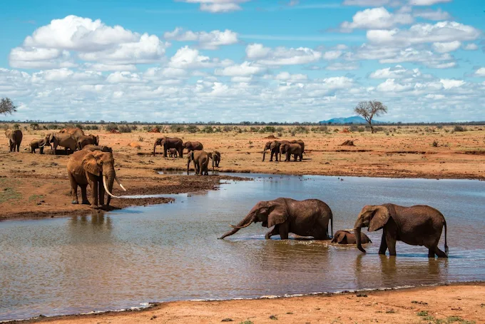 Tsavo East National park