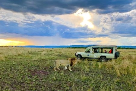 Kenya Safaris