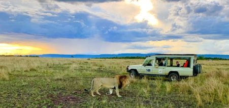 6-day-masai-mara-wildlife-safari Kenya Safaris