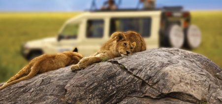 7-Days-Kenya-Tanzania-Wildlife-Safari Great Wildlife Migration in Tanzania