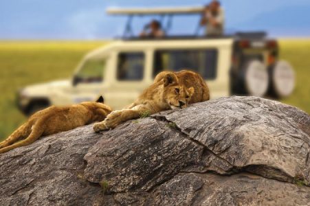 Great Wildlife Migration in Tanzania