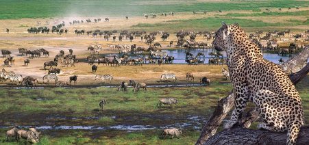 8-days-tanzania-lodge-safari-semi-luxury-package Great Wildlife Migration in Tanzania