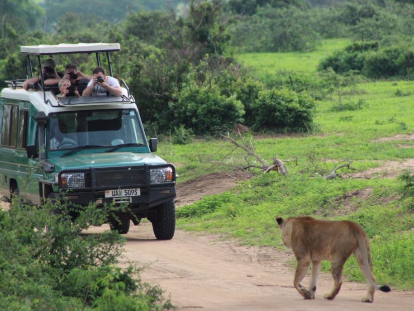 Best time to Visit Uganda