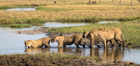 Okavango-Delta- 9-Day Zambia & Botswana Safari Adventure