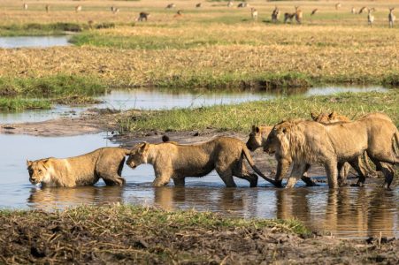 9-Day Zambia & Botswana Safari Adventure