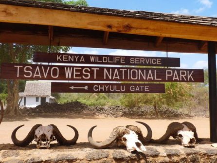 Tsavo West National Park