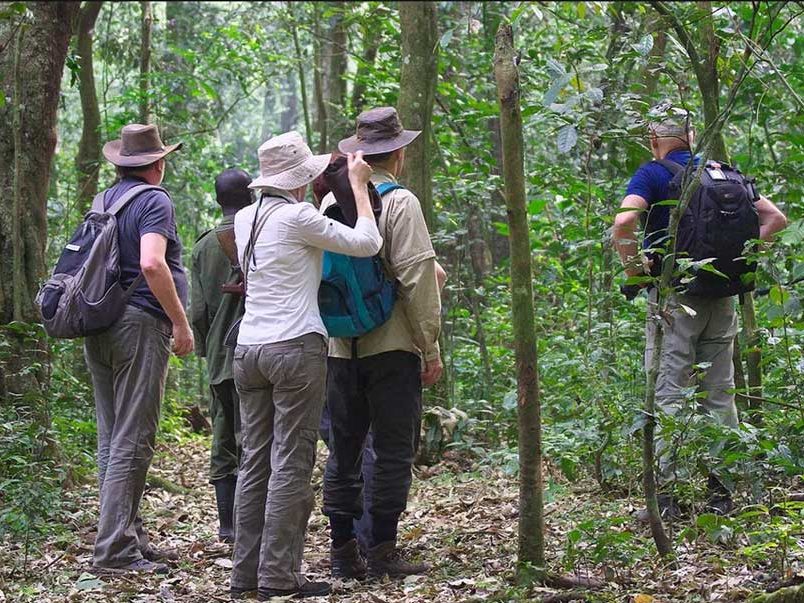 bigodi-community-walk-2 Bigodi Wetland Sanctuary