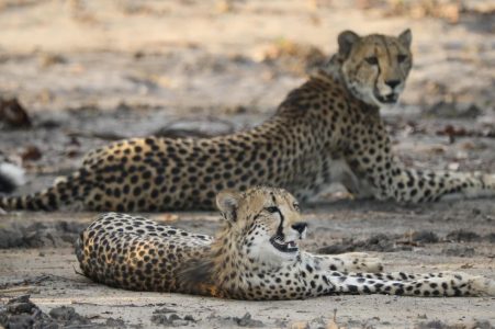 12-day Zambia & Malawi Adventure