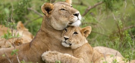 3-Day fishing safari in Murchison