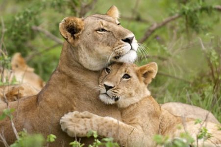 3-Day fishing safari in Murchison