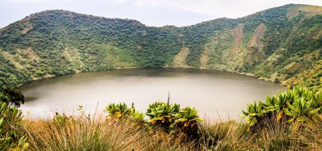 8-Days Rwanda Volcanoes Expedition