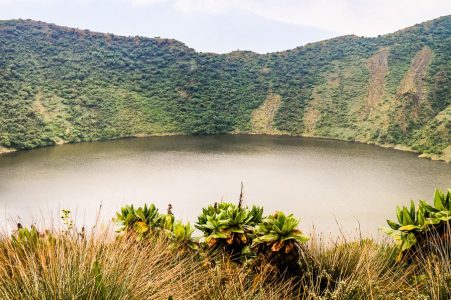 8-Days Rwanda Volcanoes Expedition