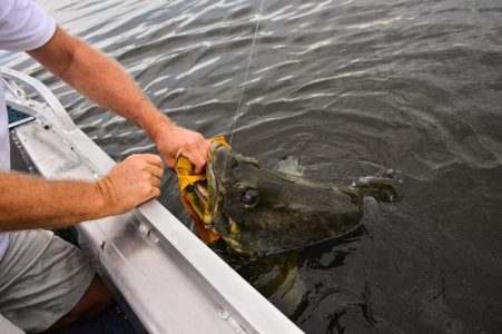 4 days sport fishing and chimpanzee