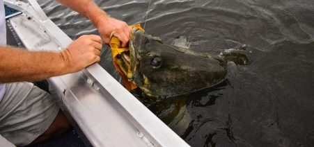 4 days sport fishing and chimpanzee