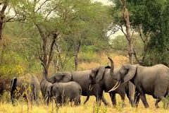 Toro Semuliki National Park