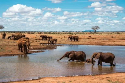 Tsavo East National park